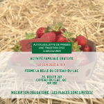 Un panier de fraises sur de la paille