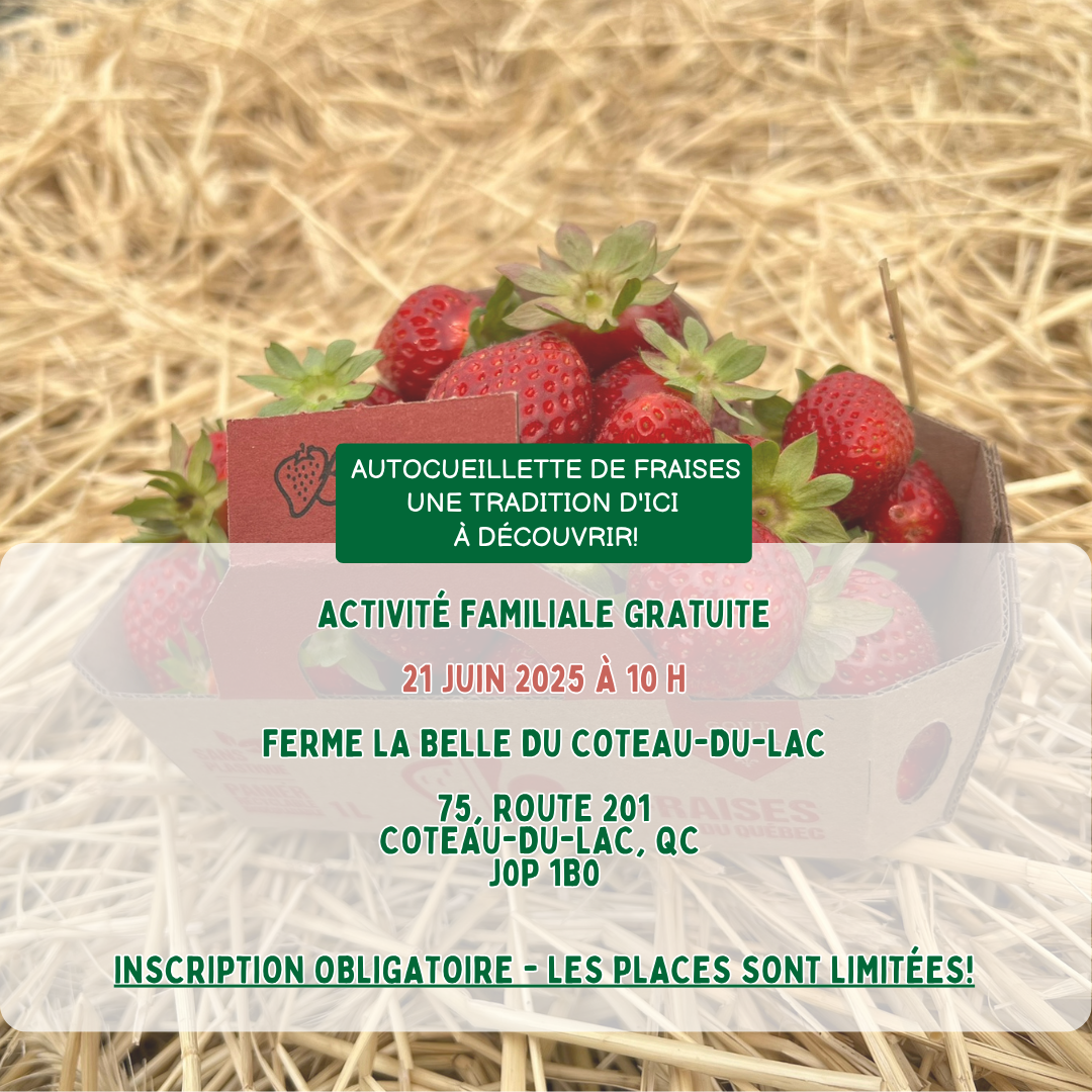 Un panier de fraises sur de la paille